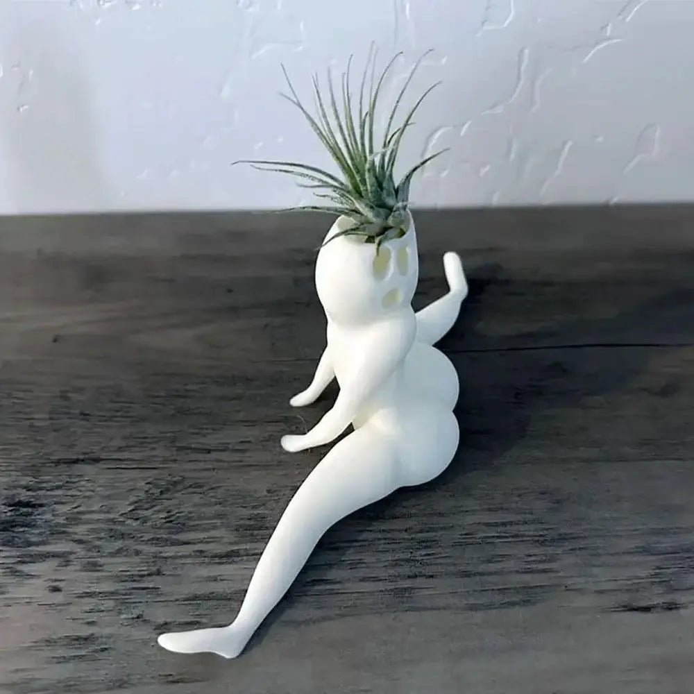 Skanto | Spooky Shape Air Plant Display - SpookyBuddy