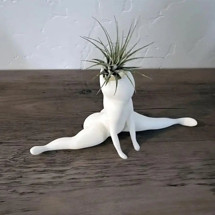 Skanto | Spooky Shape Air Plant Display - SpookyBuddy