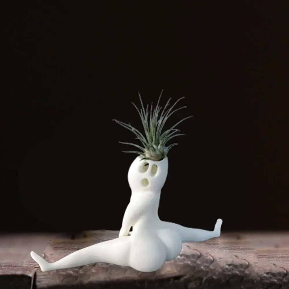 Skanto | Spooky Shape Air Plant Display - SpookyBuddy