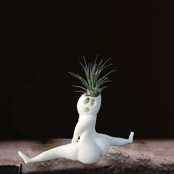 Skanto | Spooky Shape Air Plant Display - SpookyBuddy