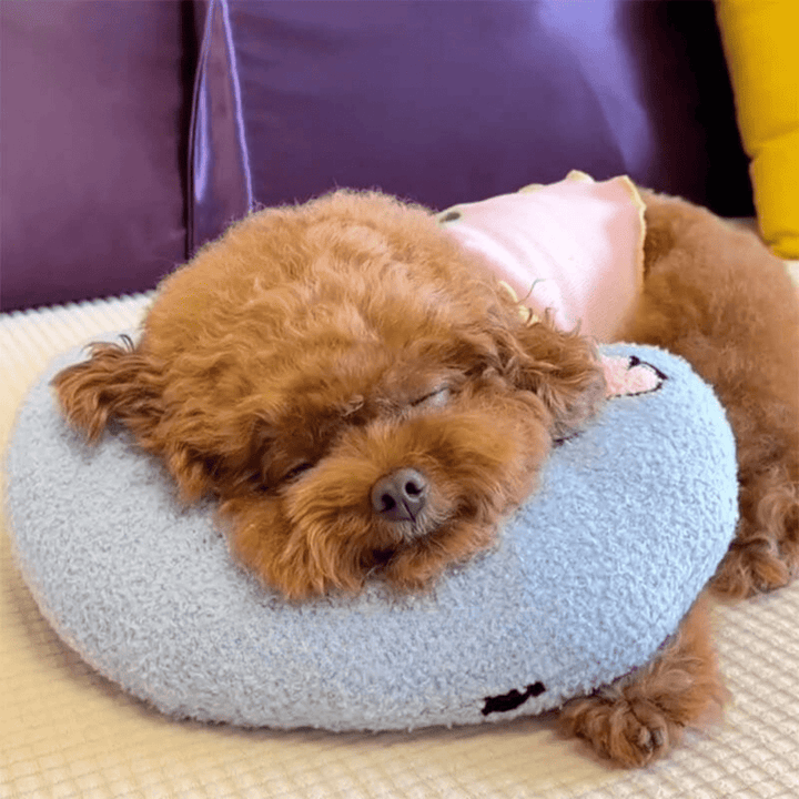 Skanto | PETEASE LUXURY – Ortopedisk Hundeseng mot Stress & Leddbetennelse