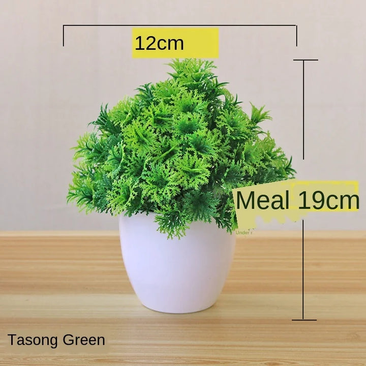 Skanto | Liten Tre Potte Bonsai Planter