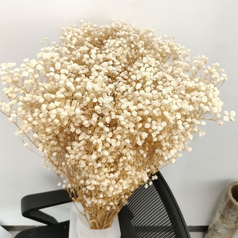 Skanto | Tørket Bevart Gypsophila Blomsterbukett – Naturlig Dekor