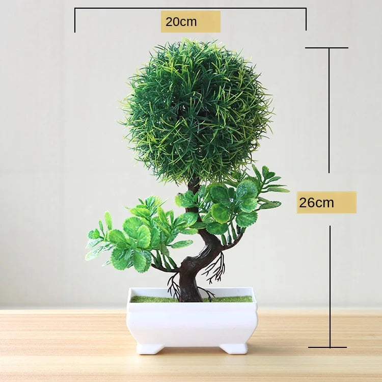 Skanto | Liten Tre Potte Bonsai Planter