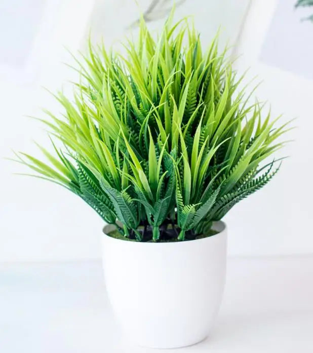 Skanto | Liten Tre Potte Bonsai Planter