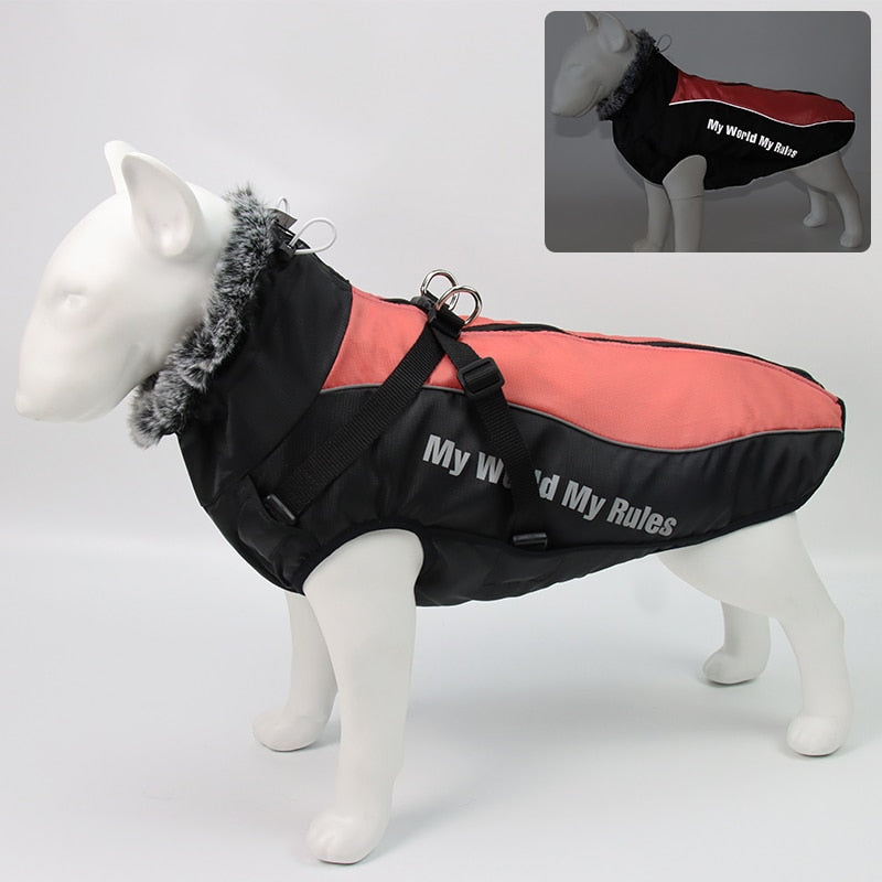 Skanto | Vanntette vinter hundejakker