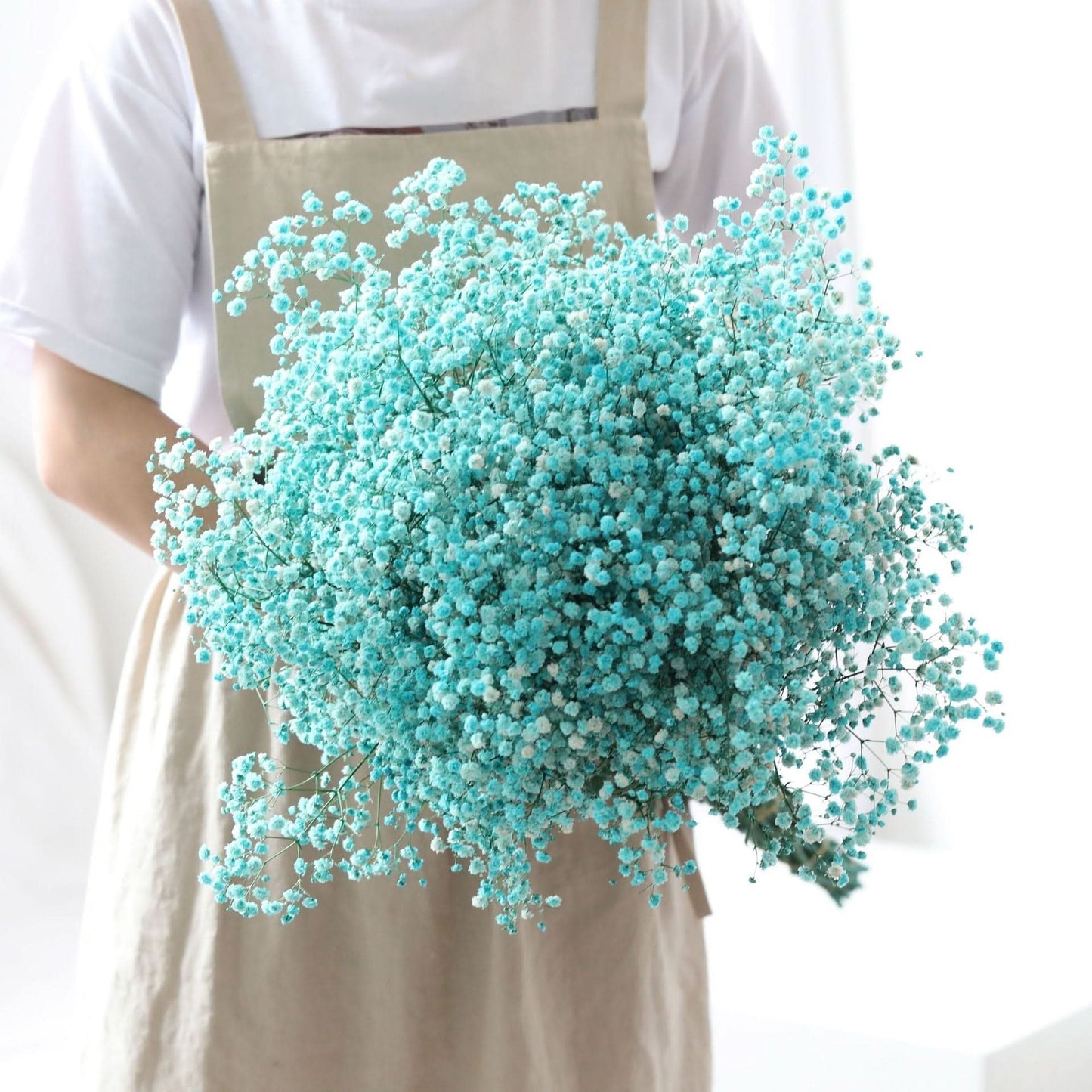 Norvo | Tørket Bevart Gypsophila Blomsterbukett – Naturlig Dekor