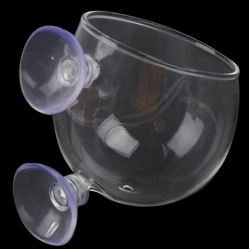 Skanto | Kreativ Akvariefisk Tank Glass Vase