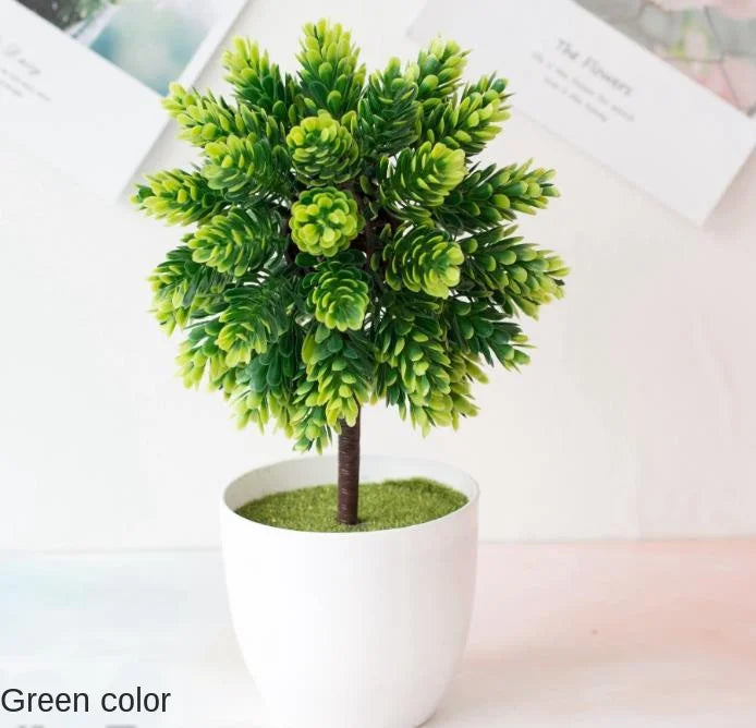 Skanto | Liten Tre Potte Bonsai Planter