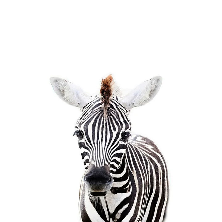 Cute Animal Wall Stickers for Kids Room Removable Peel and Stick Vinyl Wall Decals for Baby Room Creative DIY Wall Decor | Skanto