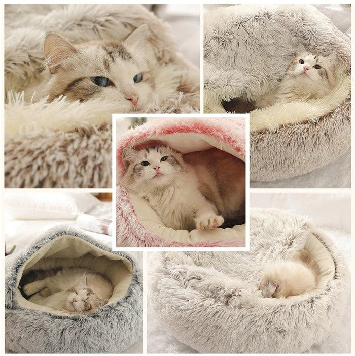 Skanto | CatHaven Luksuriøs Katt Lounge