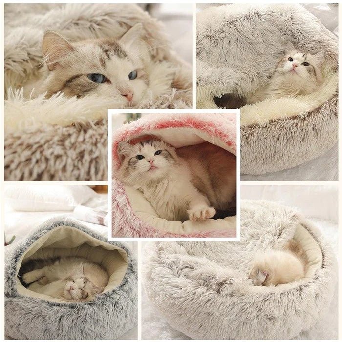 KittyCove Ultimate Comfort for Your Cat | Skanto