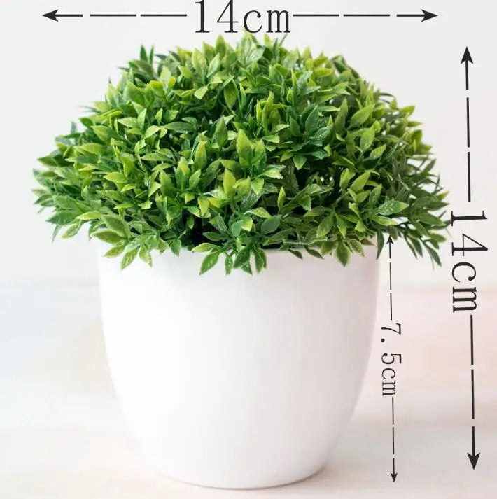 Skanto | Liten Tre Potte Bonsai Planter