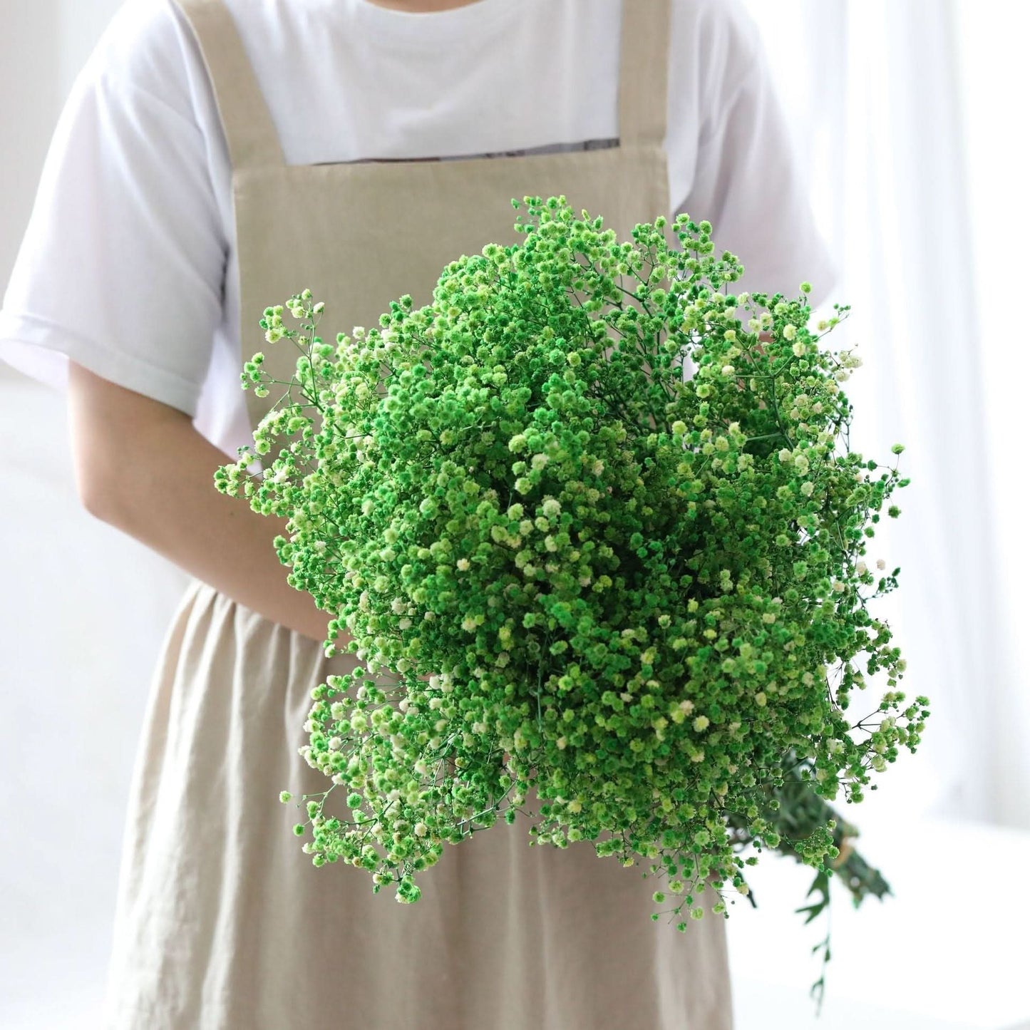 Norvo | Tørket Bevart Gypsophila Blomsterbukett – Naturlig Dekor