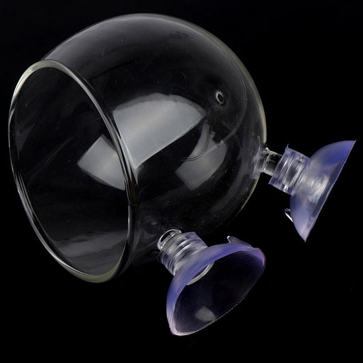 Skanto | Kreativ Akvariefisk Tank Glass Vase