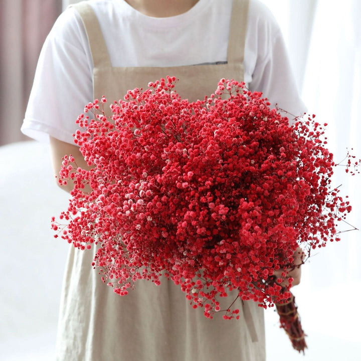 Skanto | Tørket Bevart Gypsophila Blomsterbukett – Naturlig Dekor