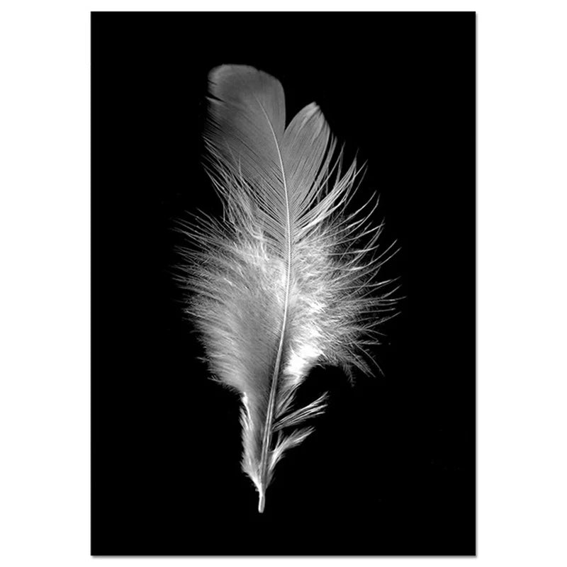 Pink Angel Wings Ballerina Wall Art Fine Art Canvas Print Black White Fashion Pictures For Living Room Bedroom Lounge Art Decor | Skanto
