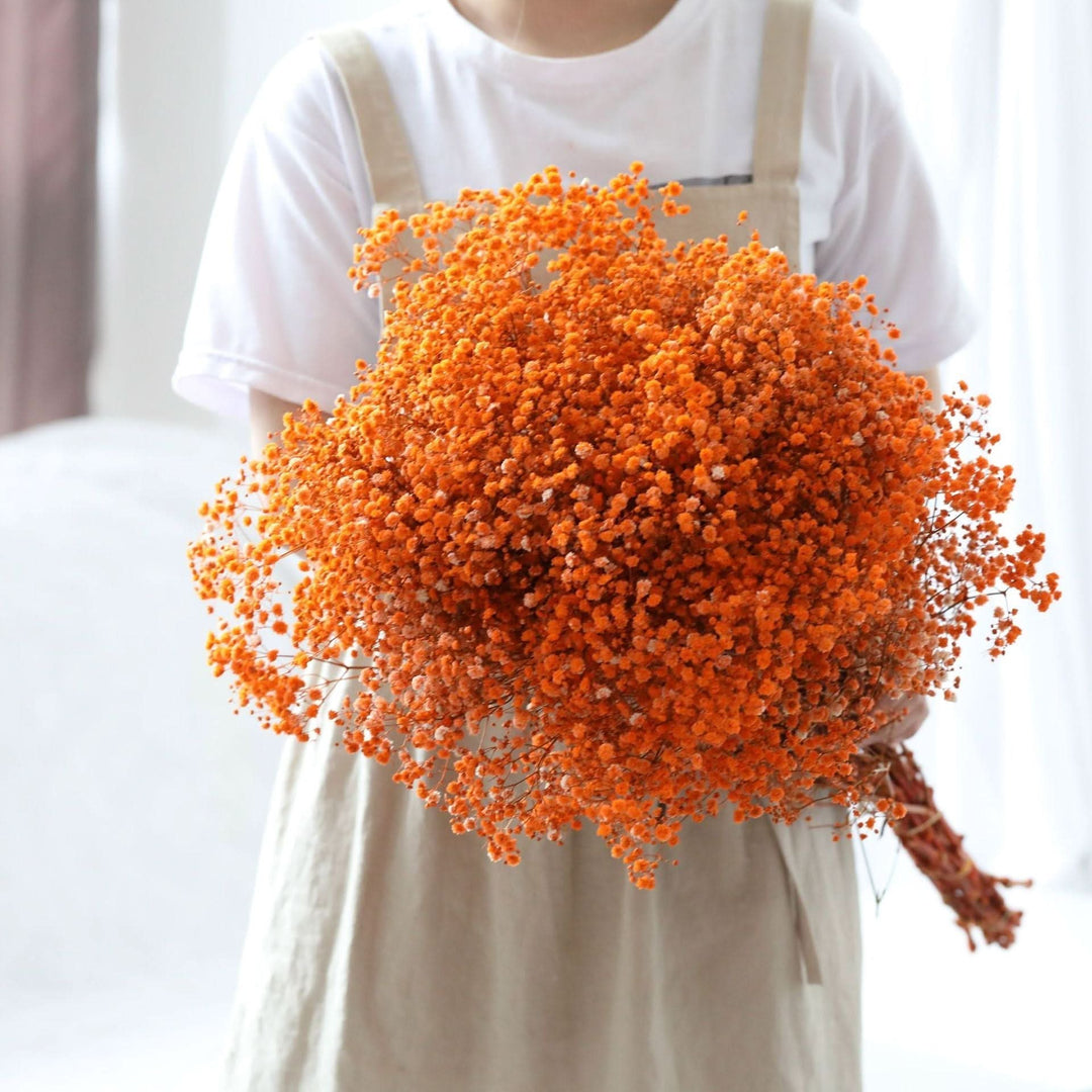 Skanto | Tørket Bevart Gypsophila Blomsterbukett – Naturlig Dekor