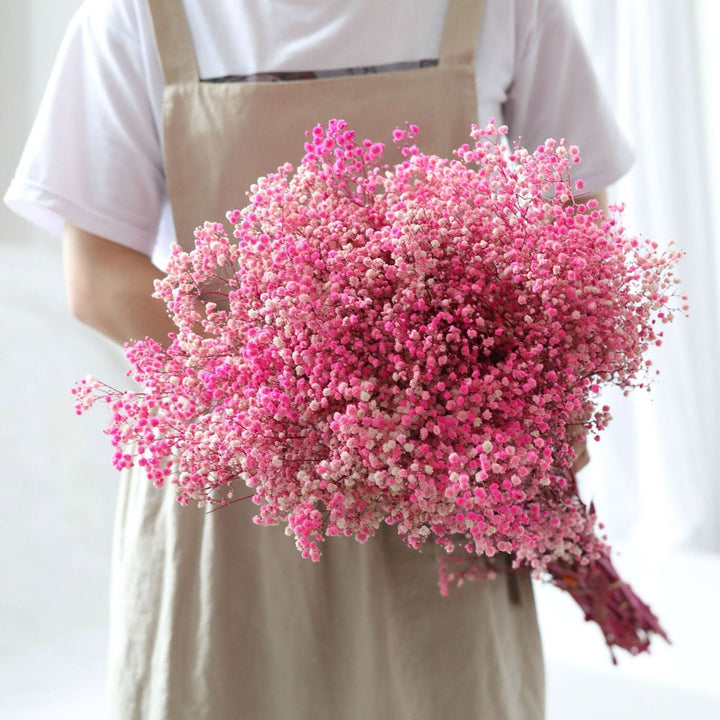 Skanto | Tørket Bevart Gypsophila Blomsterbukett – Naturlig Dekor