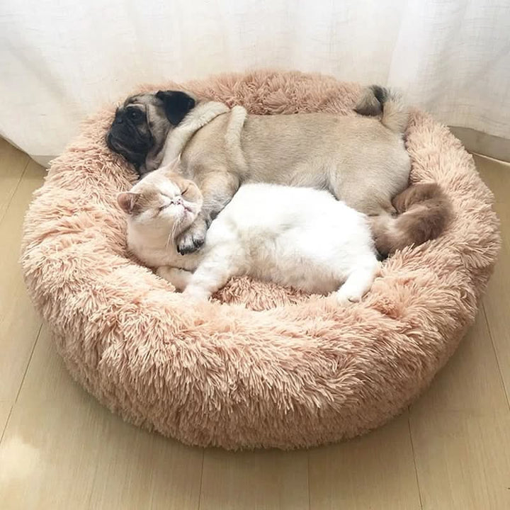 Skanto | Pet Donut Sofa – Koselig tilflukt for kjæledyr & beskyttelse for møblene