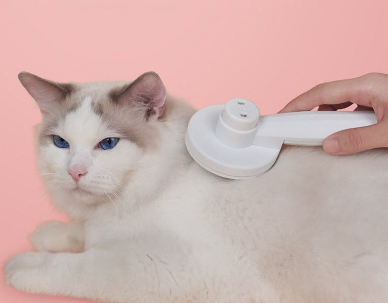 Innovativ kattbørste for grooming Skanto