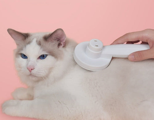 Innovativ kattbørste for grooming Skanto