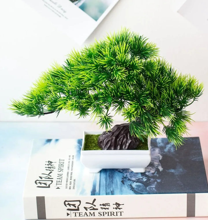 Skanto | Liten Tre Potte Bonsai Planter