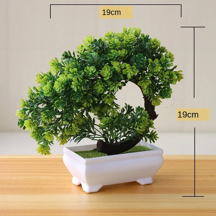 Skanto | Liten Tre Potte Bonsai Planter