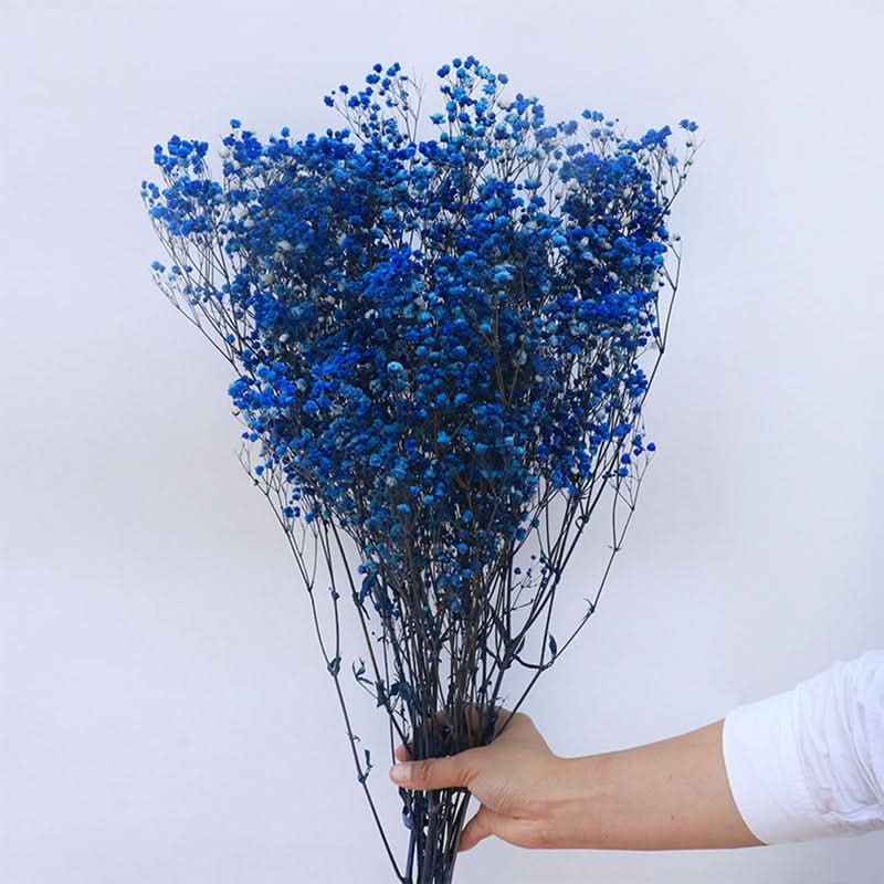 Skanto | Tørket Bevart Gypsophila Blomsterbukett – Naturlig Dekor