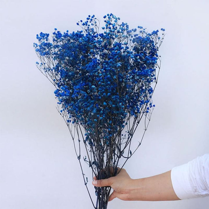 Skanto | Tørket Bevart Gypsophila Blomsterbukett – Naturlig Dekor