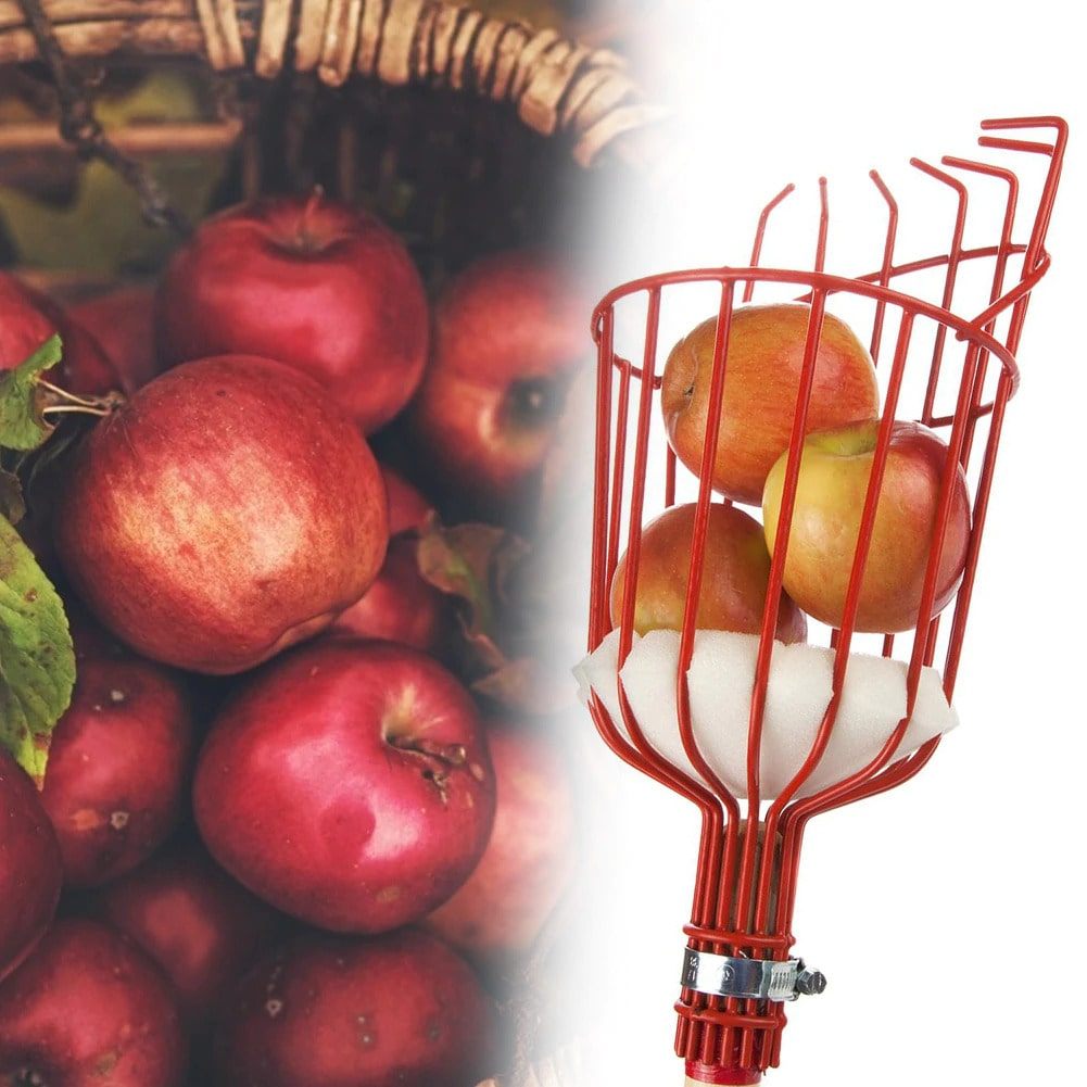 Fruktplukker Verktøy | Skanto
