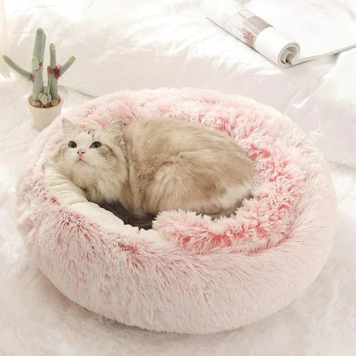 KittyCove Ultimativt komfort for katten din | Skanto
