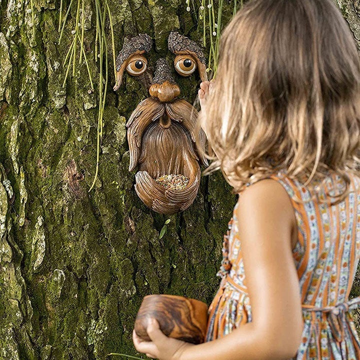 Skanto | Eyes of Nature: Tre Ansikt Fugl Matestasjon