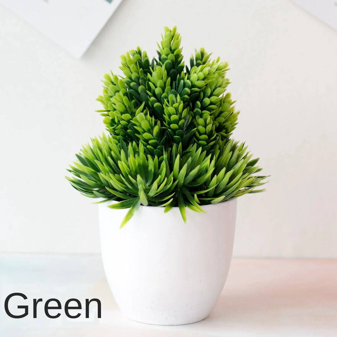 Skanto | Liten Tre Potte Bonsai Planter
