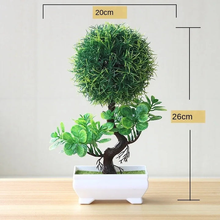 Skanto | Liten Tre Potte Bonsai Planter
