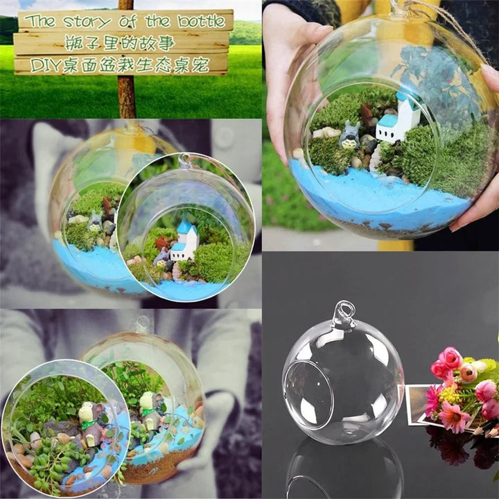 Skanto Glass Ball Vase Flower Plant Potted Creative Glass Container Home Office Decoration Home Table Decor Room Glass Vases