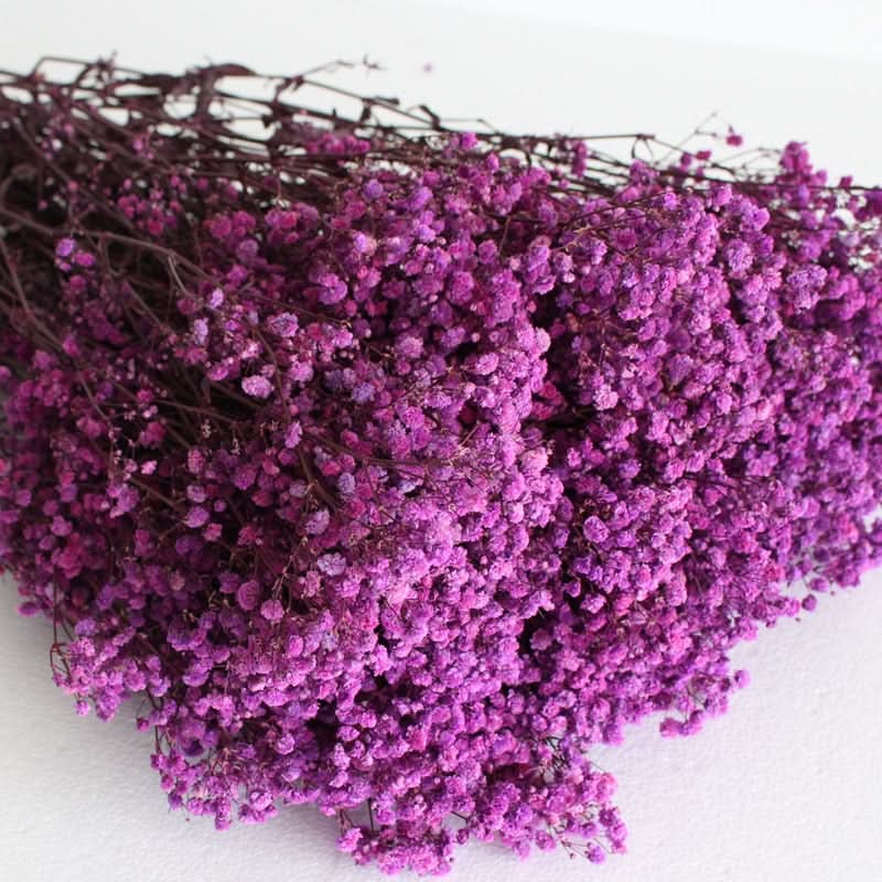 Norvo | Tørket Bevart Gypsophila Blomsterbukett – Naturlig Dekor