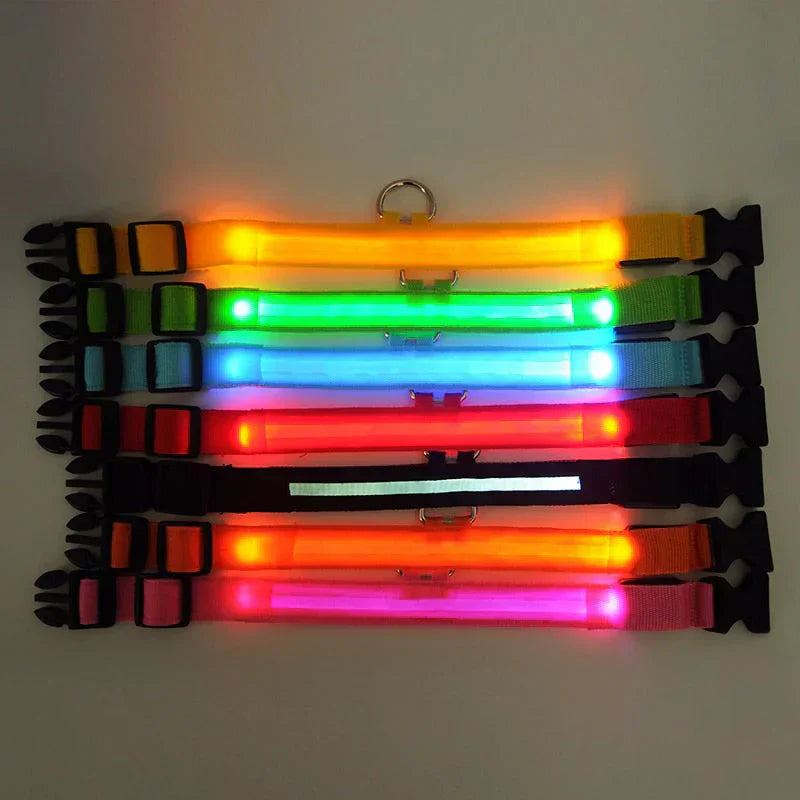 GlowPets LED-Halsband – Sicherheit og Sichtbarkeit für Haustiere
