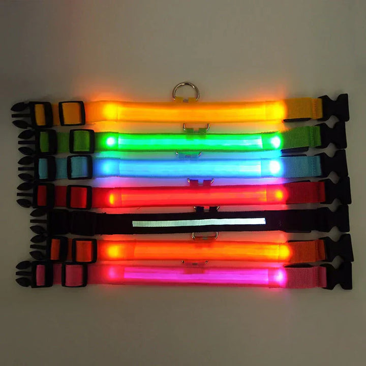 GlowPets LED-Halsband – Sicherheit og Sichtbarkeit für Haustiere