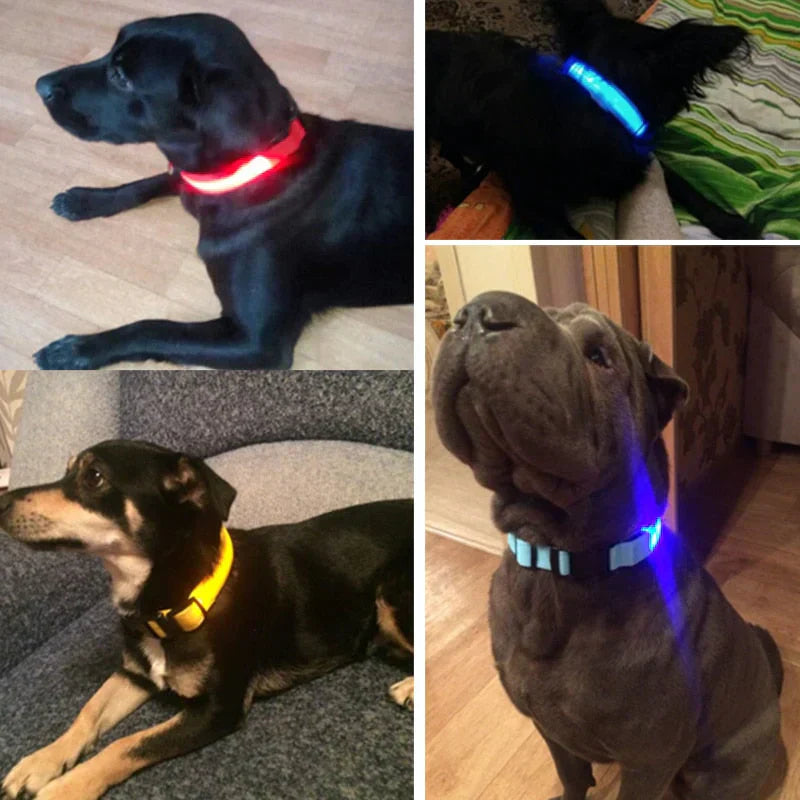 Skanto | GlowPets LED Halsbånd – Sikkerhet & Synlighet for Kjæledyr