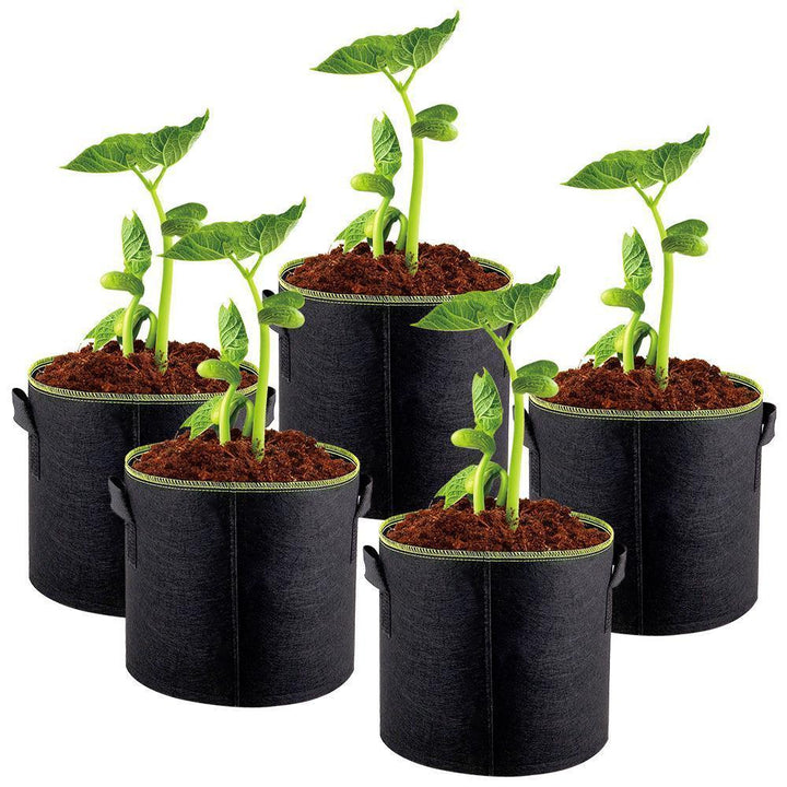 Vokseposer, Hageplantingspose | Norvo