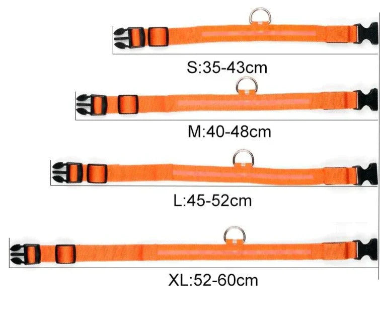 Skanto | GlowPets LED Halsbånd – Sikkerhet & Synlighet for Kjæledyr