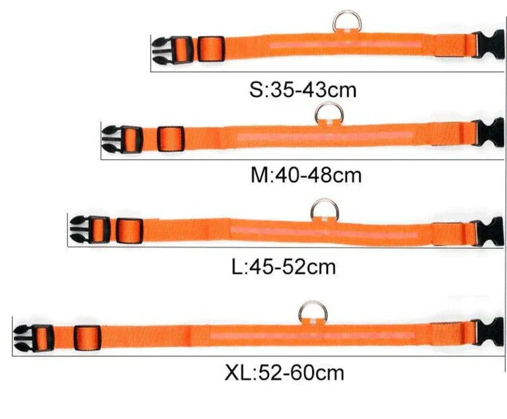 GlowPets LED-Halsband – Sicherheit og Sichtbarkeit für Haustiere