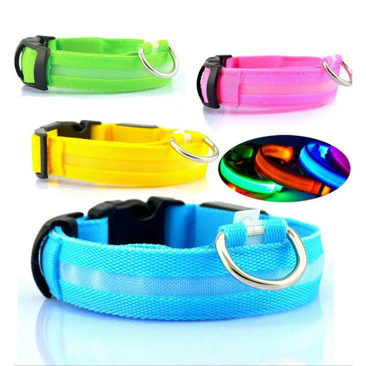 Skanto | GlowPets LED Halsbånd – Sikkerhet & Synlighet for Kjæledyr