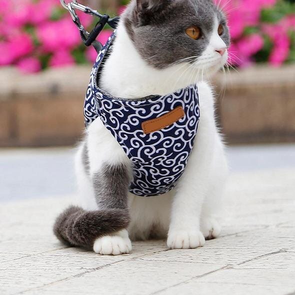 Skanto | Katt vest sele og båndsett for turer