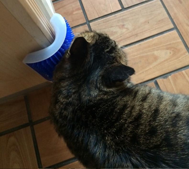 Skanto | Katt Selvpleie Børste
