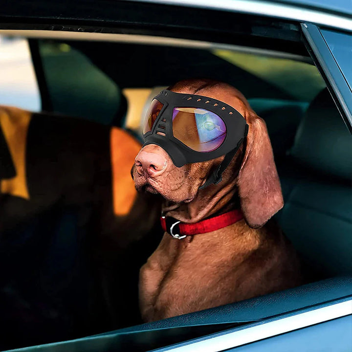 Skanto Shadow Dog Goggles