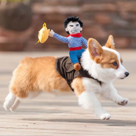 Skanto | Halloween Cowboy Hundekostyme Sett