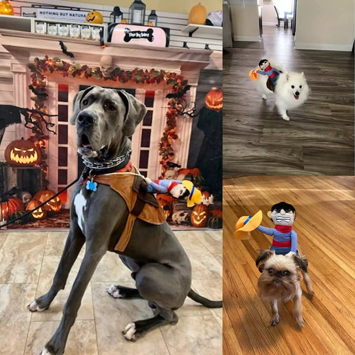 Skanto | Halloween Cowboy Hundekostyme Sett