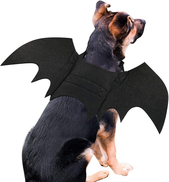 Skanto | Halloween Hund Kostyme Flagermus Vinger